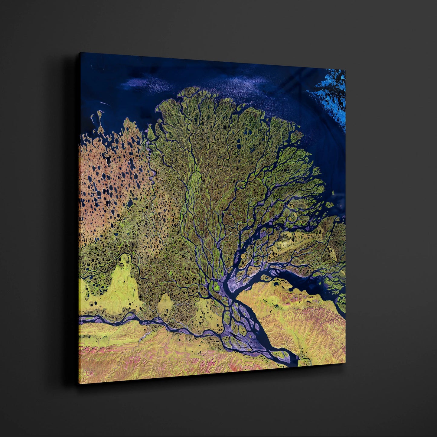 Albero della vita - Astratto