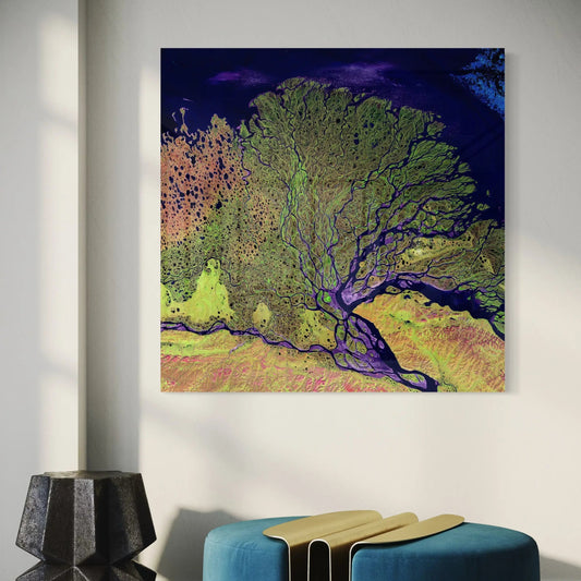 Albero della vita - Astratto